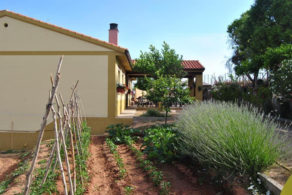 Apartamentos La Bodega Del Abuelo Bujalaro Exterior foto